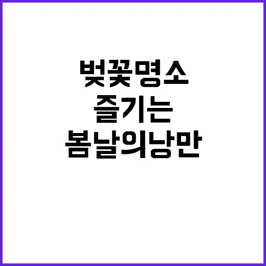 인천 벚꽃 명소를 즐기는 방법: 봄날의 낭만을 찾아서