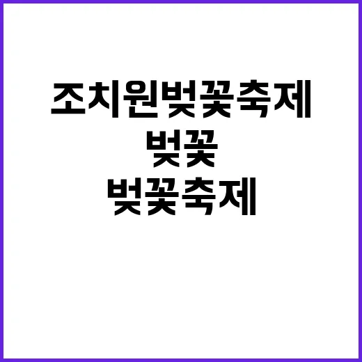 조치원 벚꽃축제를 만끽하는 방법