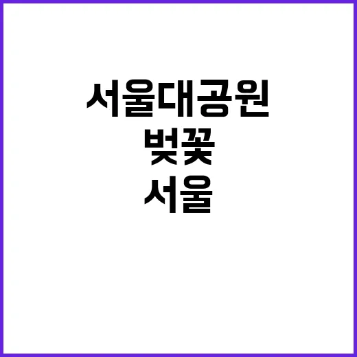 서울대공원에서 벚꽃…