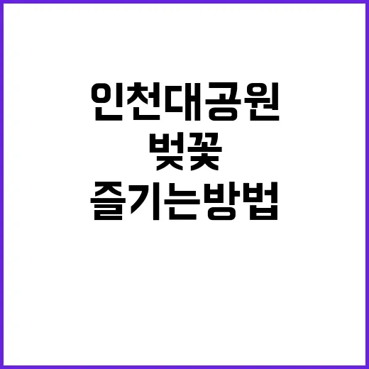 벚꽃 시즌에 인천대…