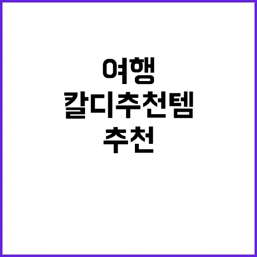 여행 중 칼디 추천…
