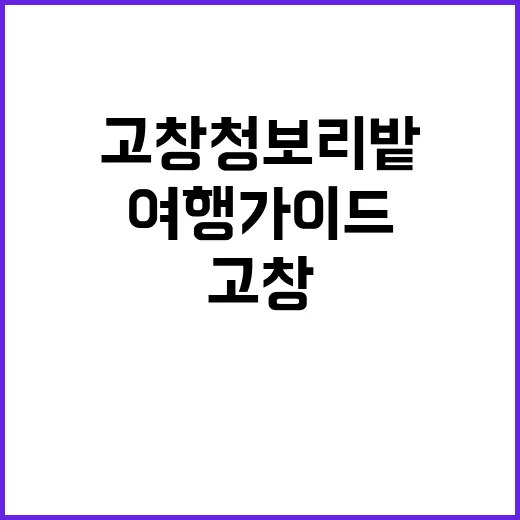 고창 청보리밭을 만…
