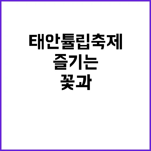 태안 튤립축제를 즐…