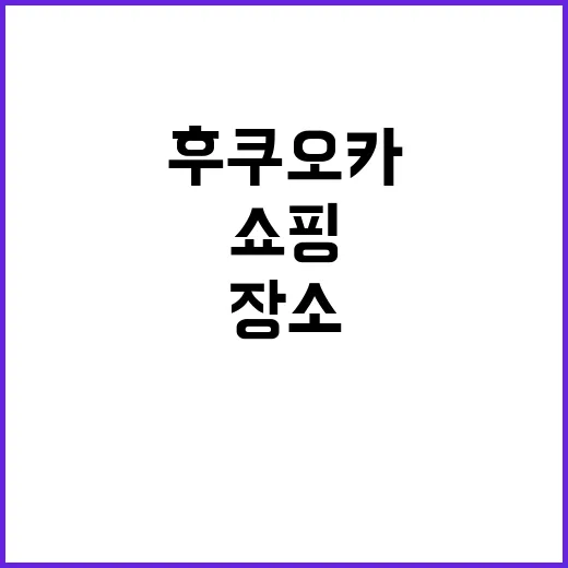 후쿠오카에서 쇼핑하…