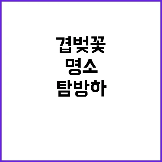 겹벚꽃 명소를 탐방…