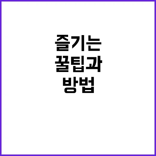 에버랜드를 완벽히 즐기는 방법: 꿀팁과 필수 정보