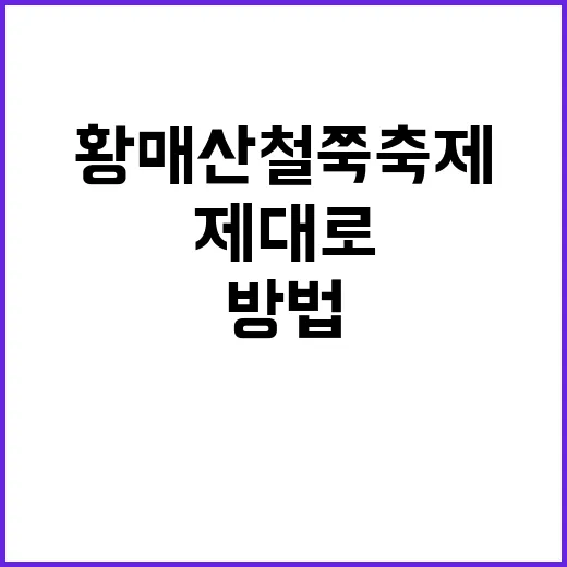 황매산 철쭉 축제를…