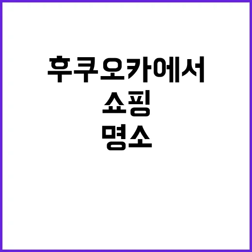 후쿠오카에서 쇼핑을…