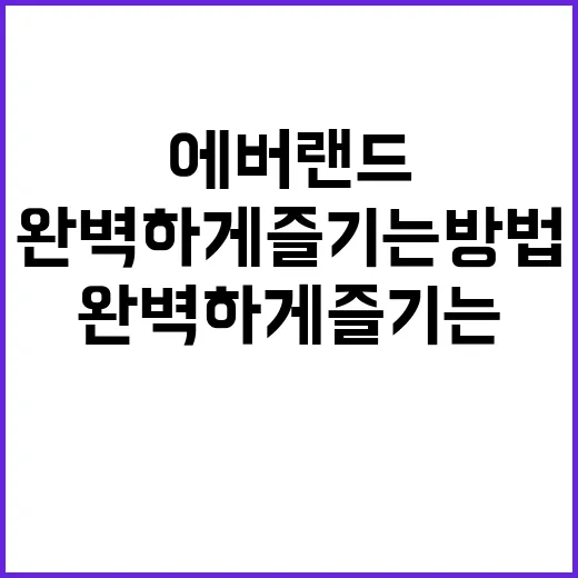 에버랜드를 완벽하게…