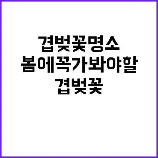 봄에 꼭 가봐야 할…