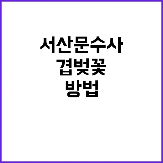 서산 문수사에서 겹…