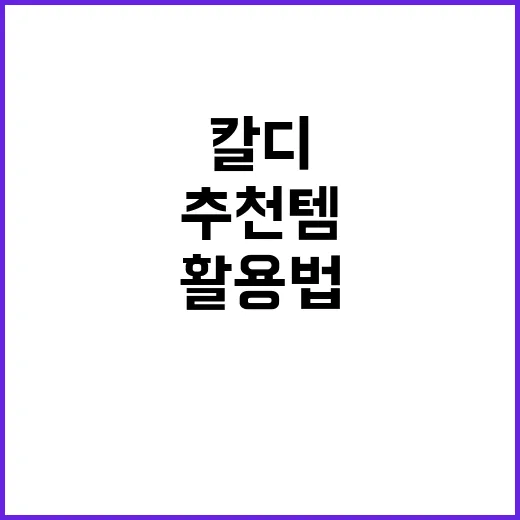 여행 준비를 완벽하…