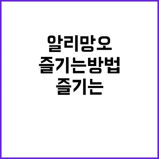 알리망오 경험을 완…