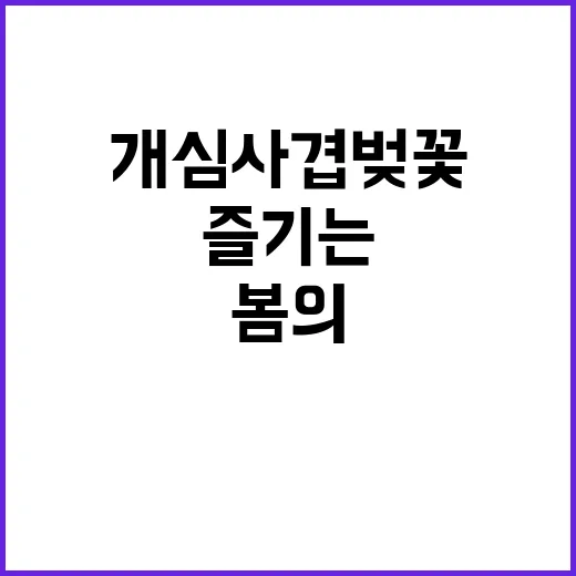 개심사 겹벚꽃을 즐…