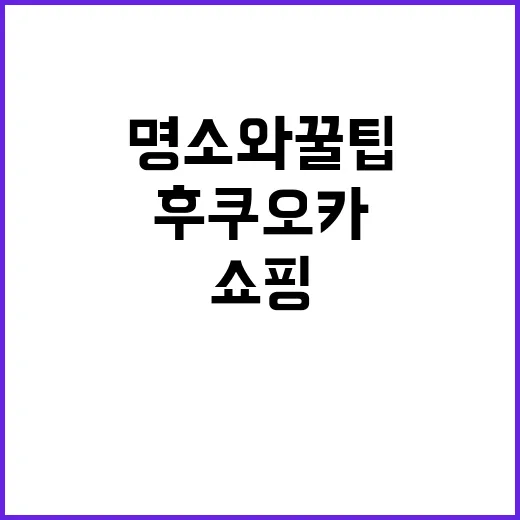 후쿠오카에서 쇼핑하…