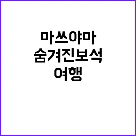 마쓰야마를 여행하는 방법: 필수 명소와 숨겨진 보석