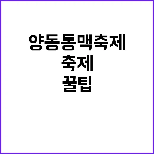 양동통맥축제를 즐기…