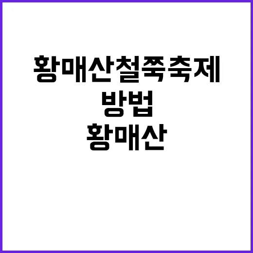 황매산 철쭉축제를 …