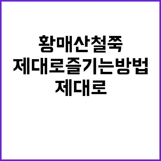 황매산 철쭉을 제대…