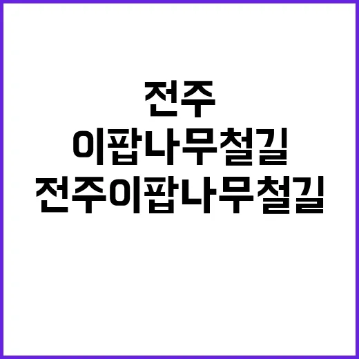 전주 이팝나무 철길…
