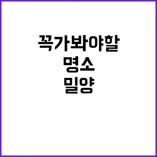 밀양에서 꼭 가봐야…