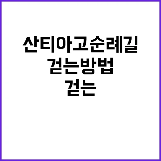 산티아고 순례길을 …