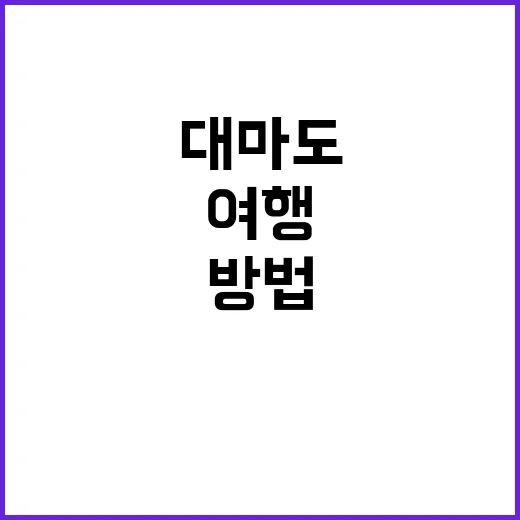 대마도에서 꼭 해봐…