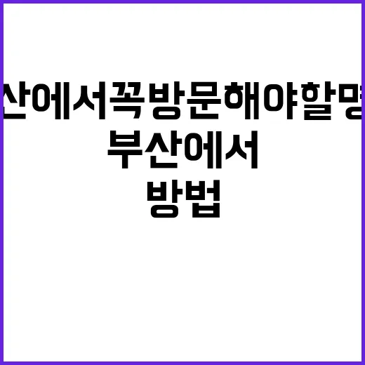 부산에서 꼭 방문해…