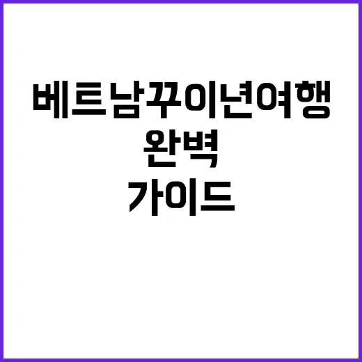 베트남 꾸이년 여행…