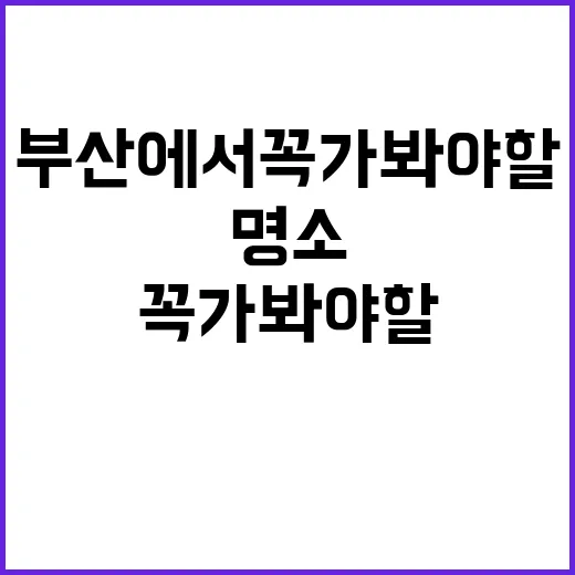 부산에서 꼭 가봐야…