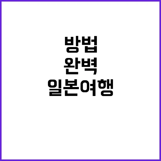 일본 여행을 완벽하…