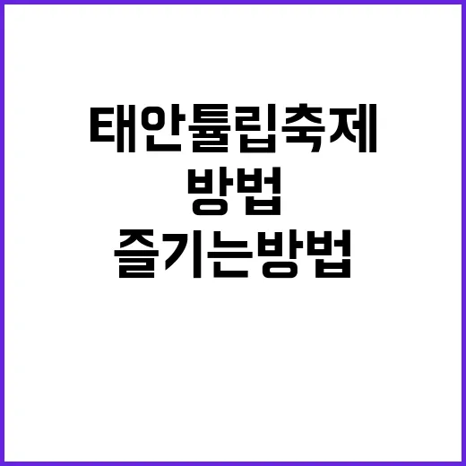 태안 튤립축제를 완벽히 즐기는 방법