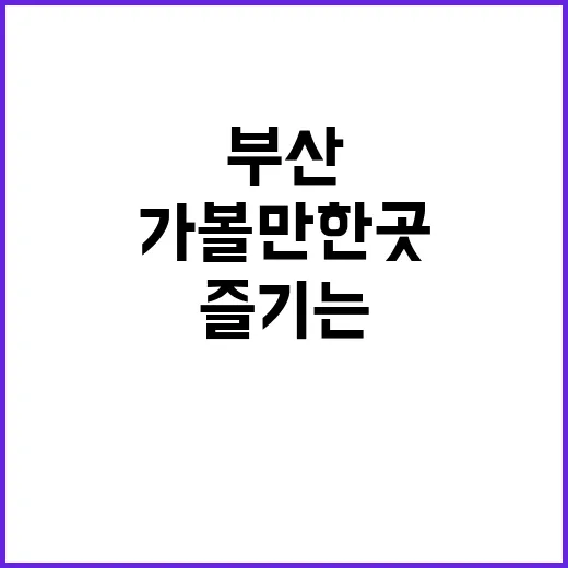 부산 가볼 만한 곳…