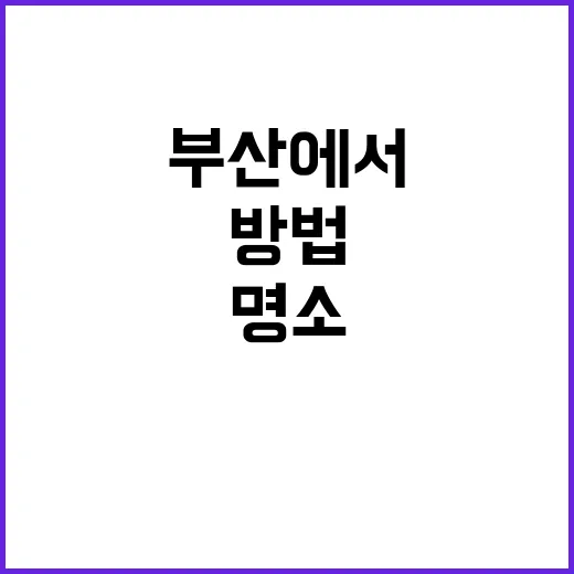 부산에서 꼭 방문해…