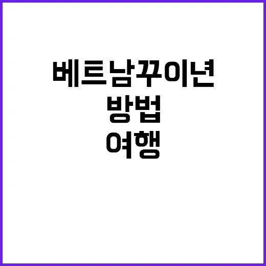 베트남 꾸이년 여행…