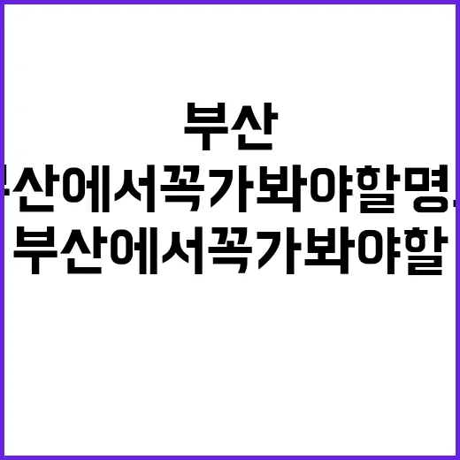 부산에서 꼭 가봐야…
