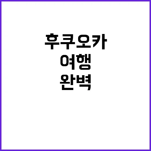 후쿠오카를 완벽하게…