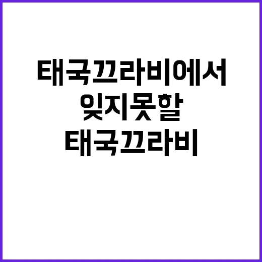 태국 끄라비에서 잊지 못할 여행을 만드는 방법