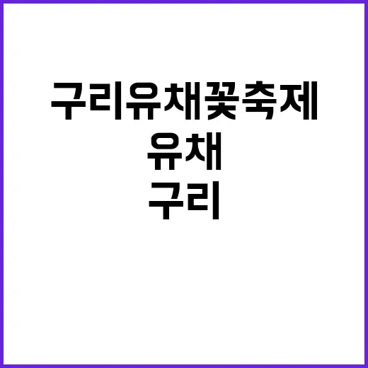 구리 유채꽃 축제에…