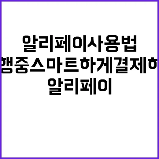 알리페이 사용법: …