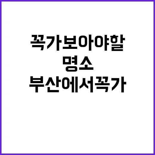 부산에서 꼭 가보아…