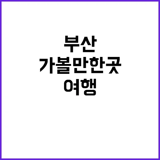 부산 여행: 가볼만…