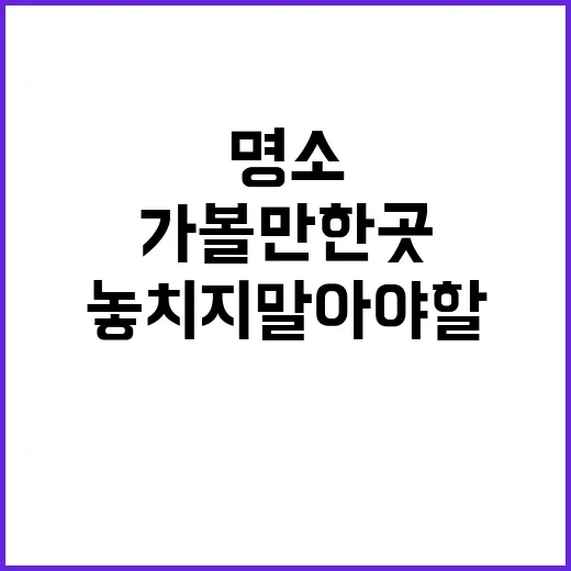 오사카 가볼만한 곳…