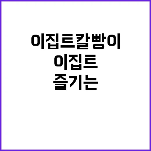 이집트 칼빵이를 즐…