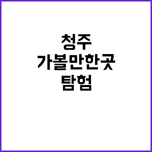 청주 가볼만한 곳을…