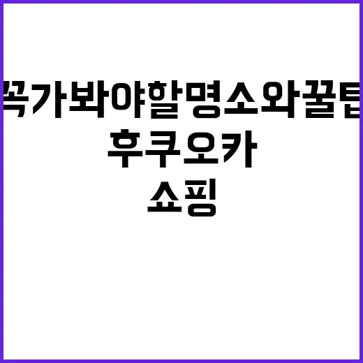 후쿠오카에서 쇼핑하…