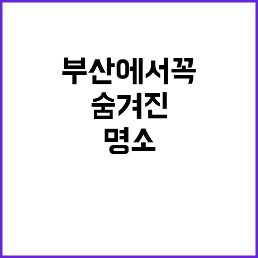 부산에서 꼭 방문해…