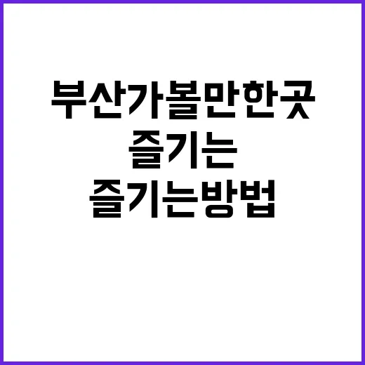 부산 가볼만한 곳을 제대로 즐기는 방법