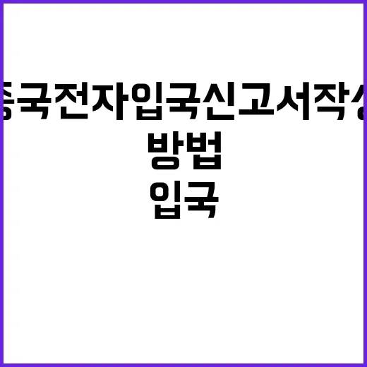 중국 전자입국신고서…
