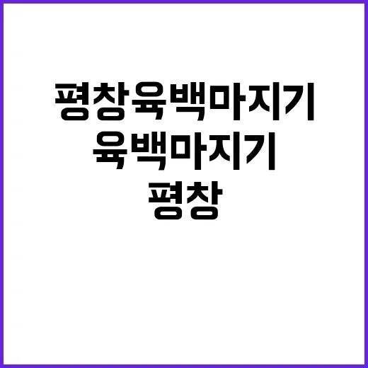 평창 육백마지기에서…